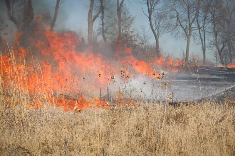 Nearly 10 acres were burned in a brush fire near Woodstock Thursday, March 13, 2025.