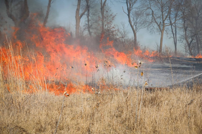 Nearly 10 acres were burned in a brush fire near Woodstock Thursday, March 13, 2025.