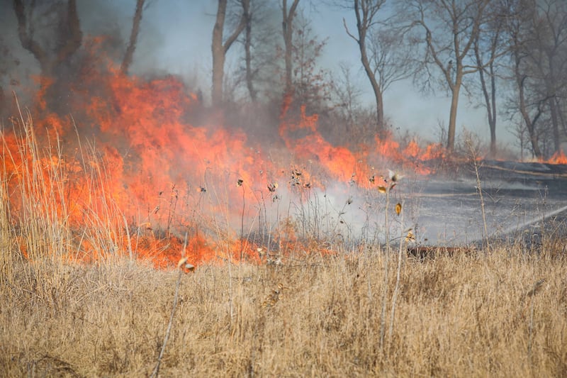 Nearly 10 acres were burned in a brush fire near Woodstock Thursday, March 13, 2025.