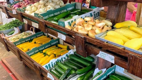 5 Things to Do: Twin Cities Farmers Market, ‘Click Clack Moo’ at The Dixon Theatre and more