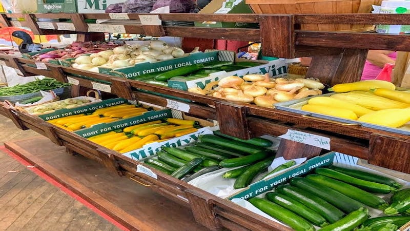 5 Things to Do: Twin Cities Farmers Market, ‘Click Clack Moo’ at The Dixon Theatre and more