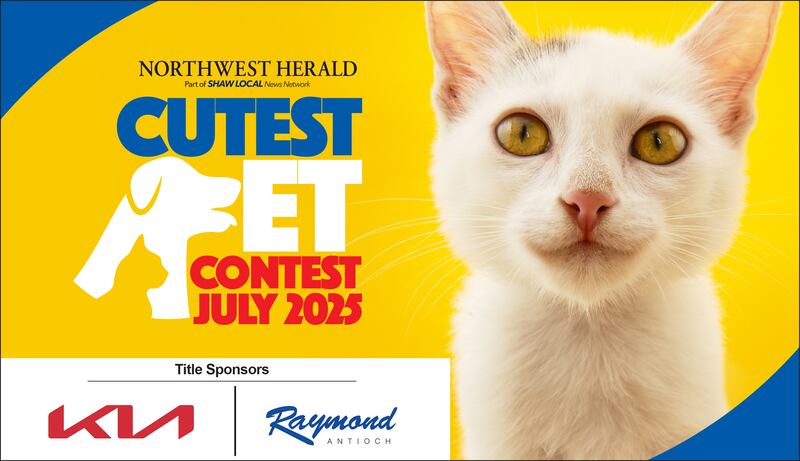 Northwest Herald Cutest Pet Contest July 2025