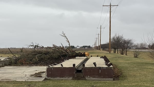 Damage from Tuesday night's storm in Ottawa
