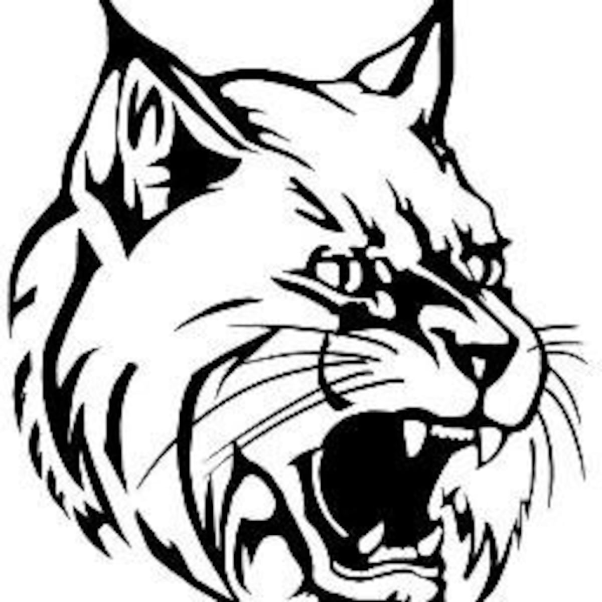 West Chicago co-op takes swimming sectional at St. Charles East; St. Charles North second