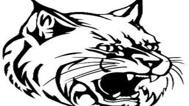 West Chicago co-op takes swimming sectional at St. Charles East; St. Charles North second