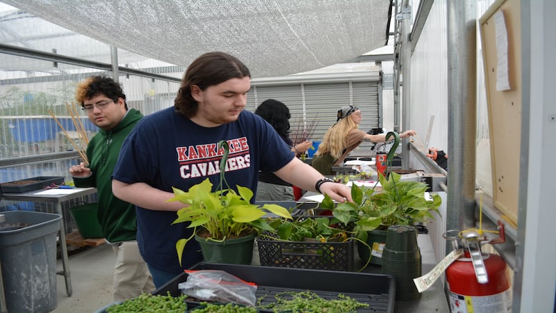 KCC’s agriculture horticulture technology program centers hands-on learning
