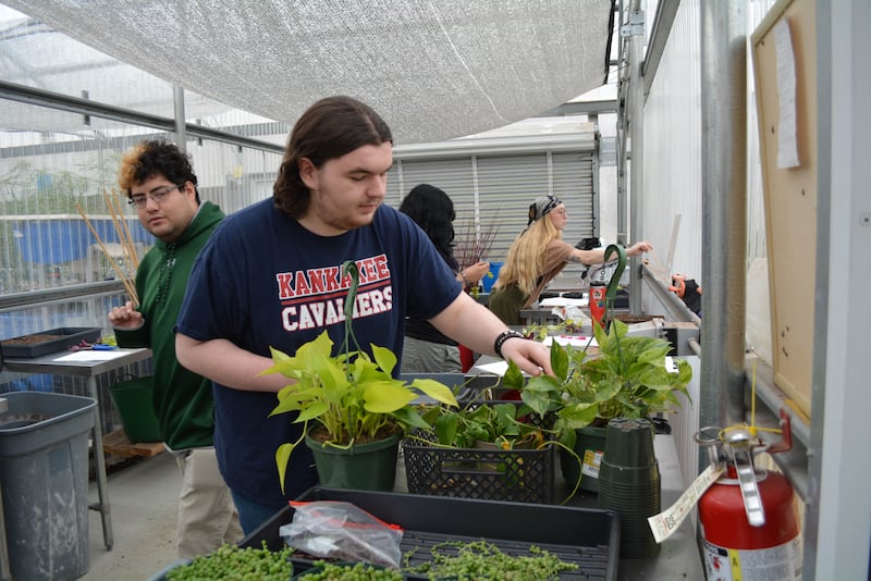 William Tatro, a student of Kankakee Community College's Agri-Hort Technology program, works in the college's greenhouse during a plant propagation course on Feb. 19, 2026.