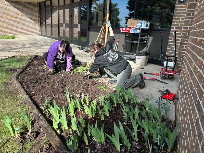 Ninth grade students Alexia Tsusake and Whitley Key prepare an area near the Oregon Elementary School's Etnyre wing gym entrance for new plants on Saturday, April 5, 2025.