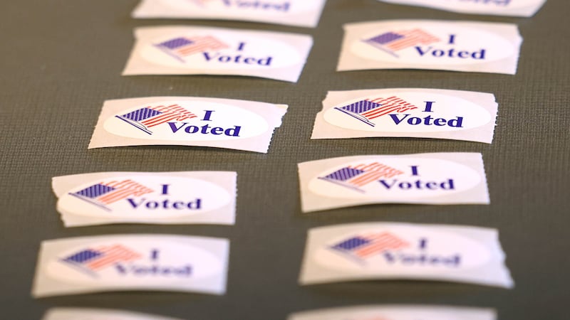Kendall County sees uptick in voters in primary election