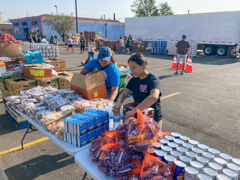 Volunteers organize donated food at ShareFest Will County in July 2024. The event is returning to the Will County Office Building on Saturday, May 24, 2025.