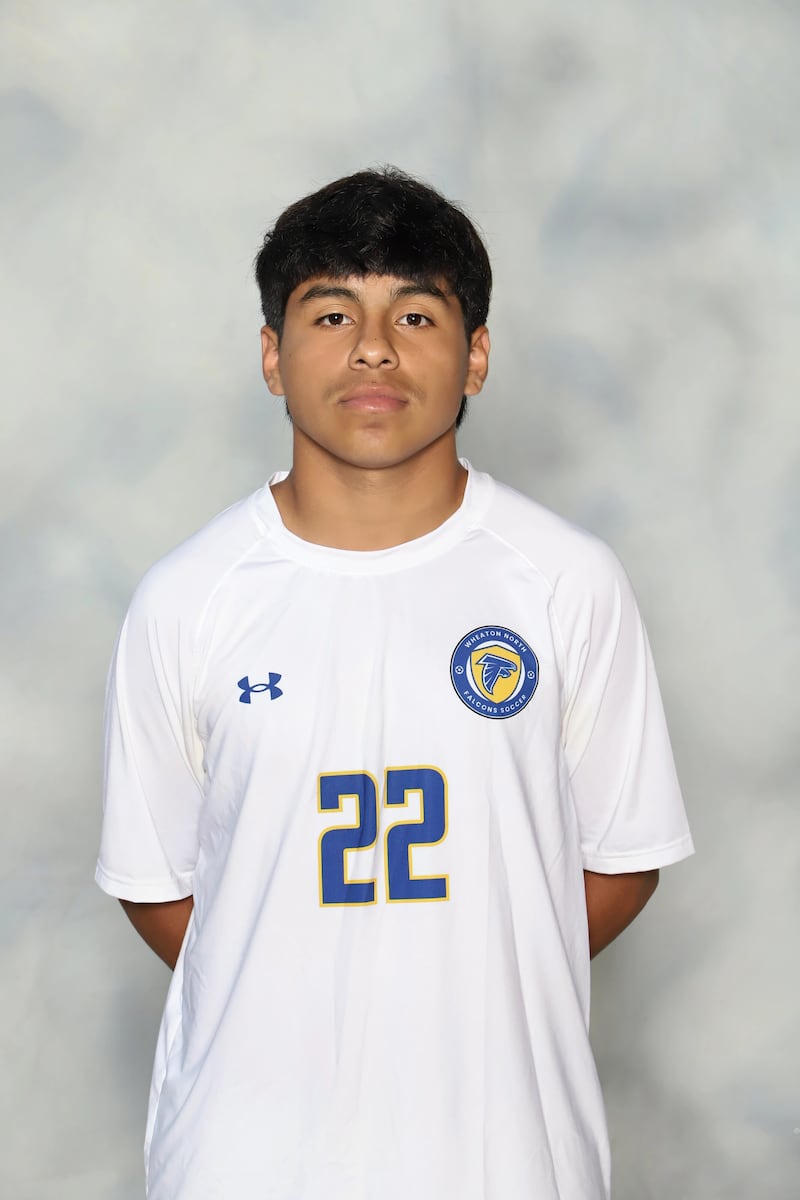 Wheaton North sophomore Armando Jarquin
