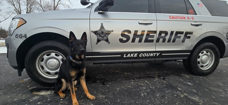 Lake County Sheriff’s Office K9 Hemi will receive a bullet and stab protective vest thanks to a charitable donation from nonprofit organization Vested Interest in K9s Inc.