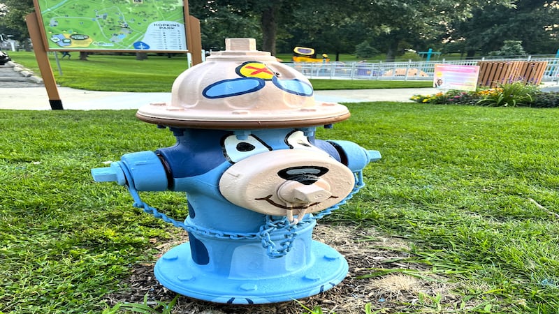 City of DeKalb solicits Paint-A-Plug program applications