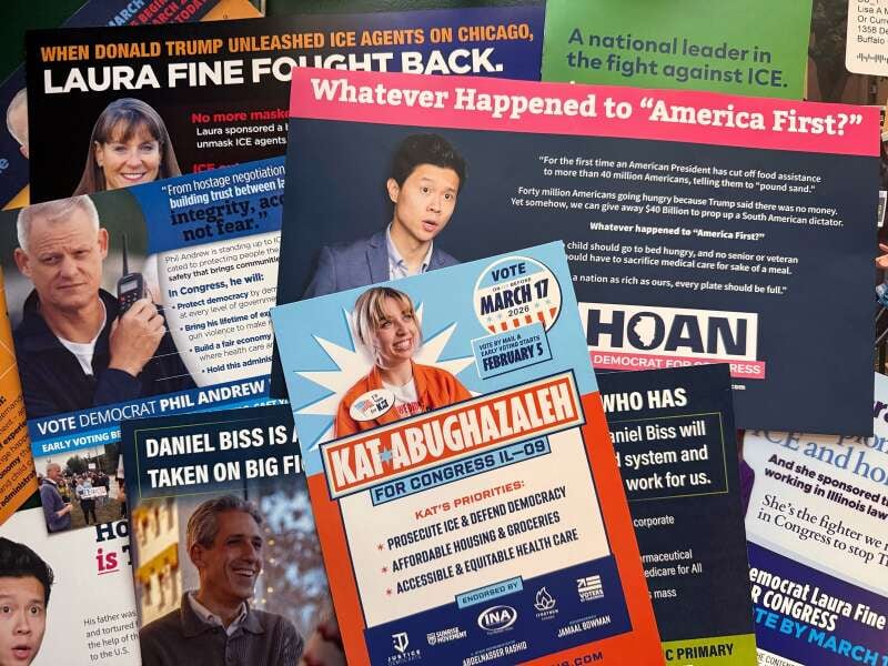 Mailers for 9th Congressional District candidates Laura Fine, Phil Andrew, Daniel Biss, Kat Abughazaleh and Hoan Huynh. Fourteen Democrats and four Republicans are running for the seat now held by Democratic U.S. Rep. Jan Schakowsky of Evanston.