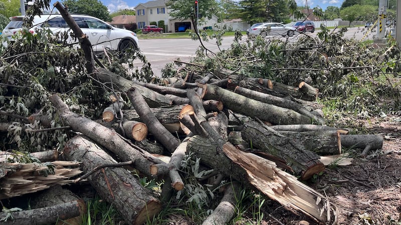 Crews continue storm debris cleanup across Joliet area; work expected to last into next week