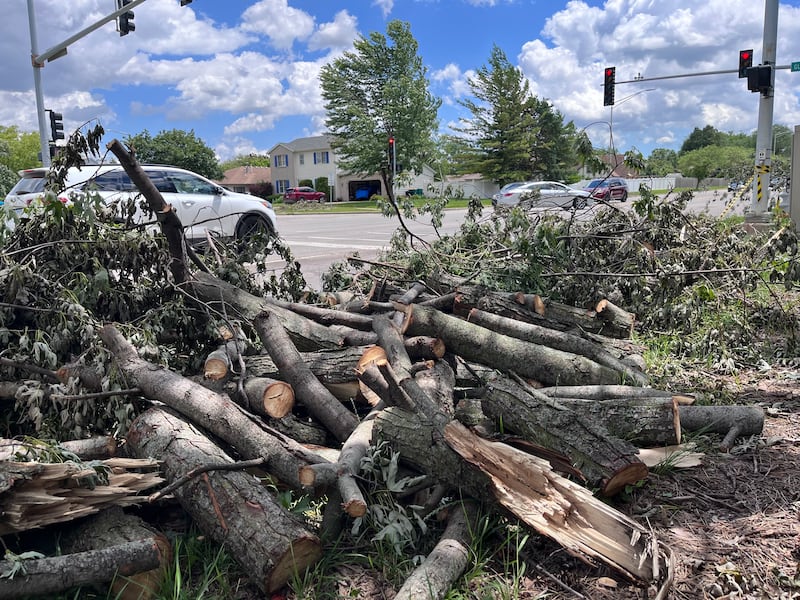 Rows of chopped trees damaged from the derecho storm on June 10, 2026, sit in a pile on Tuesday, June 16, 2026, at the corner of Essington Road and Glenwood Avenue in Joliet.