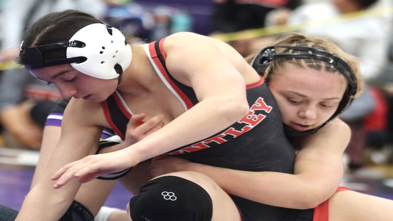 Girls wrestling: 2026 Northwest Herald All-Area Team