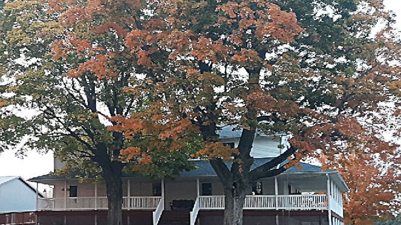 Welcoming autumn with zucchini cake, cowboy coffee, pumpkin spice and other fall comforts
