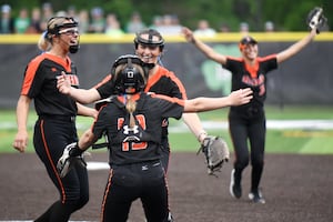 Photos: Beecher vs. Seneca, Class 2A Seneca Sectional championship softball