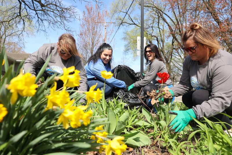 Volunteers, from left, Lindsey Yoakum, Leslie Calderon, Brandi Curvin and Keli Hodges, all from AQUA Illinois, clean up a garden area on a curb in Kankakee's sixth ward during the United Way of Kankakee & Iroquois Counties Day of Action across the county on April 22, 2025.