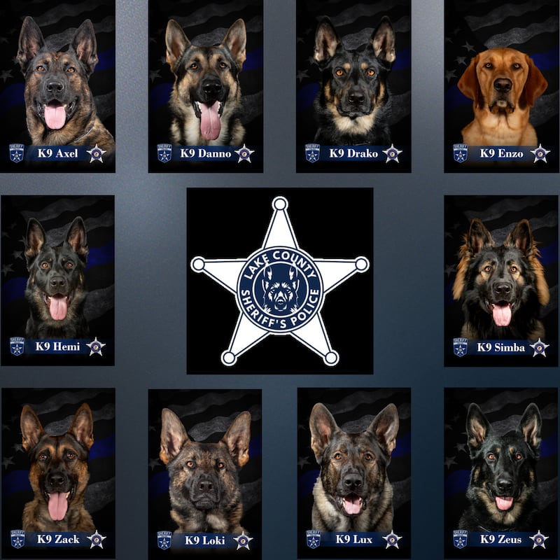 Sheriff John D. Idleburg is proud to announce the Lake County Sheriff’s Office K9 Unit concluded 2025 with a year marked by numerous deployments and continued dedication to public safety.