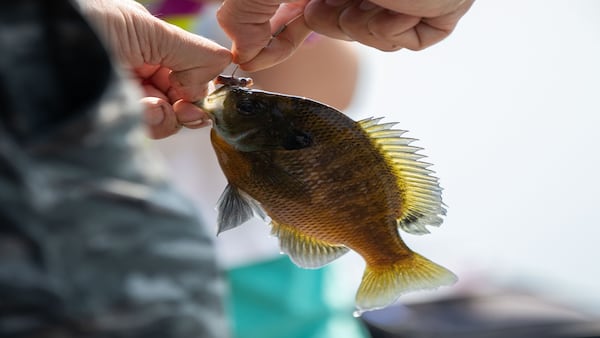 Glen Ellyn Park District’s fishin’ derby to cast off June 20