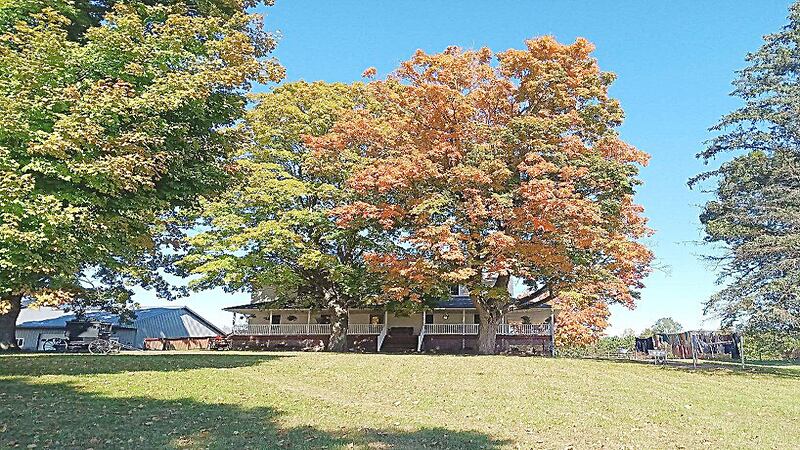 A bridal shower for daughter Lovina