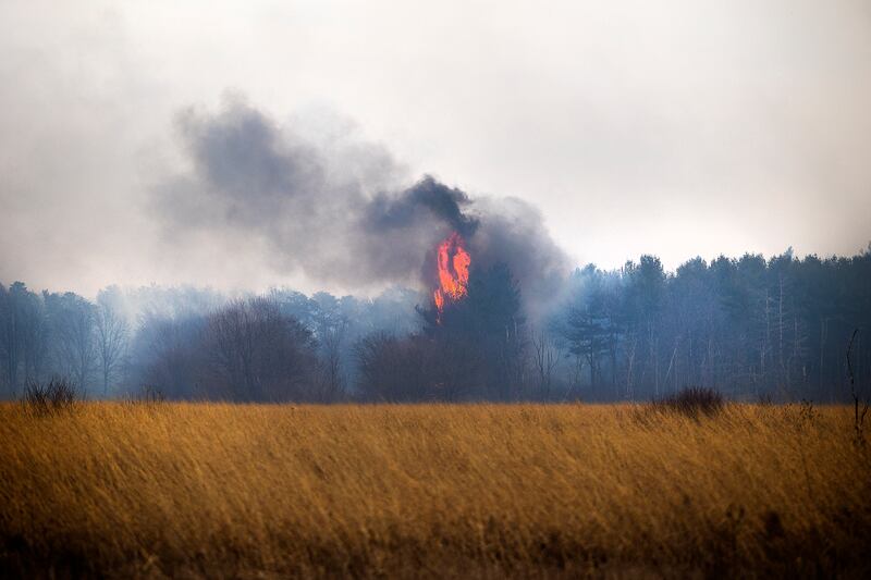 A tree goes up in flames Friday, March 14, 2025, at Green River State Wildlife Area in Harmon as a wild fire rips across the park.