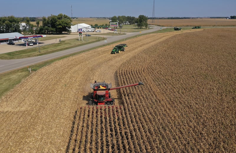 Dennis Faber harvests corn for Stauffer Farms near the intersection of Illinois Route 92 and Route 34 on Tuesday, Sept. 17, 2024 in La Moille.