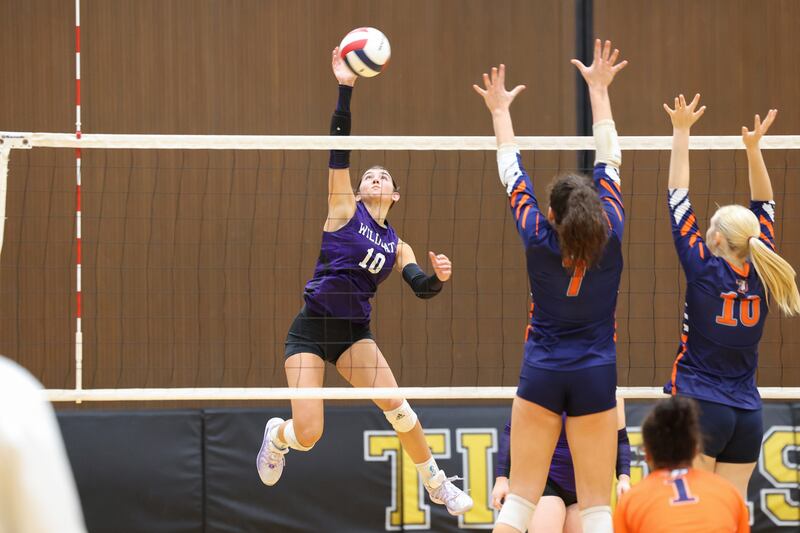 Wilmington's Rachel Smith spikes the ball during the Wildcats' loss in three sets, 25-16, 22-25, 17-25, to Pontiac in the IHSA Class 2A Herscher Regional championship on Thursday, Oct. 30, 2025.