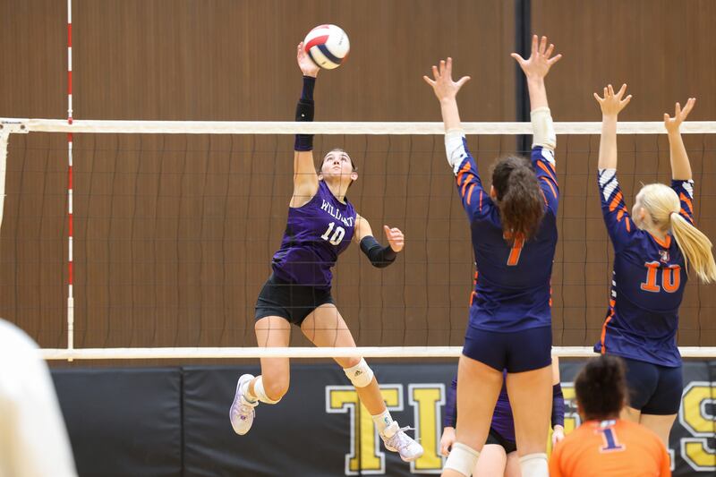 Wilmington's Rachel Smith spikes the ball during the Wildcats' loss in three sets, 25-16, 22-25, 17-25, to Pontiac in the IHSA Class 2A Herscher Regional championship on Thursday, Oct. 30, 2025.