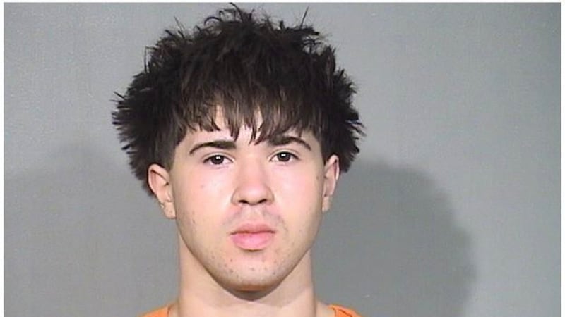 Teen skater charged with beating person with skateboard, fracturing skull, at Crystal Lake train station