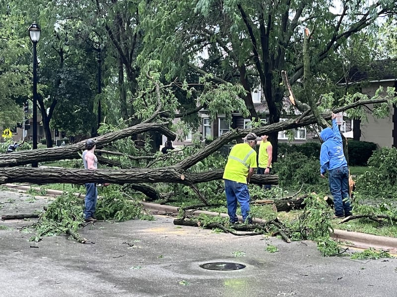City crews and residents were out assessing damage and trying to remove trees that were knocked down after a storm went through the Joliet area on Wednesday, June 10, 2026. This was a tree knocked into the tree in Joliet's Cathedral Area Neighborhood.