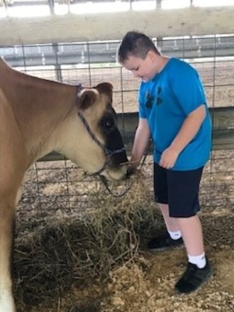 At Ag Awareness Day students were able to get up close with farm animals. Joey Rockstead from Kings School is shown with a Jersey dairy cow.