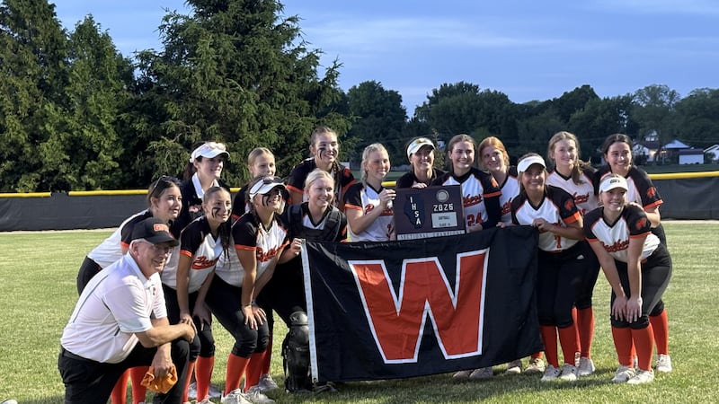 Gardner-South Wilmington beats Serena 4-1 in Class 1A Indian Creek Sectional