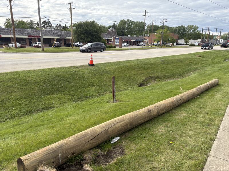 A log and a cone pictured along Route 47 in Woodstock May 22, 2025.