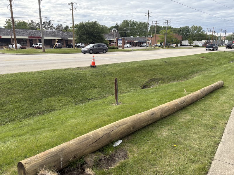 A log and a cone pictured along Route 47 in Woodstock May 22, 2025.