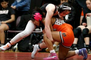 2025 Daily Chronicle Girls Wrestling All-Area Team