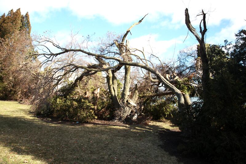 Trees, signs and fences were damaged on the Waubonsee Community College campus in Sugar Grove on Wednesday, Feb. 28, 2024 following a reported tornado the night before.