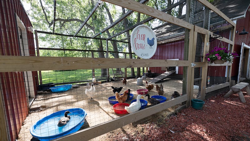 Photos: Sauk Valley Views: Photos of the Week for June 5 to 13, 2026