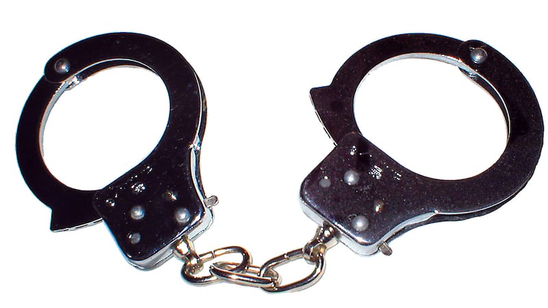 Fox Lake man pulled gun on neighbor after exchange over loose dog, police say; several firearms seized