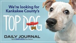 Your dog could be a star!