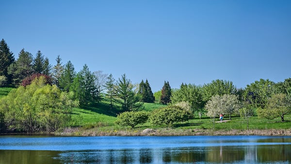 Northern Illinois in Bloom: Best botanical gardens & arboretums 