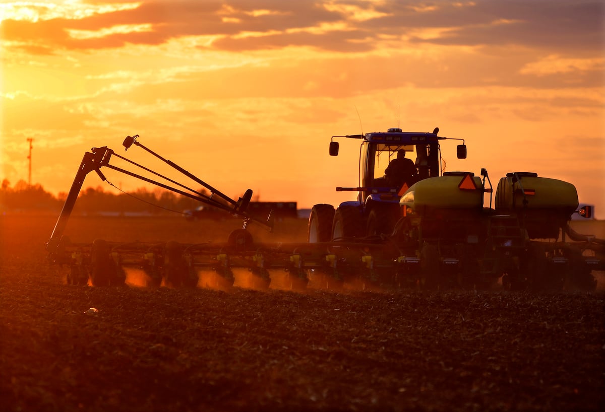 National Corn Growers Association report warns of pivotal moment in history