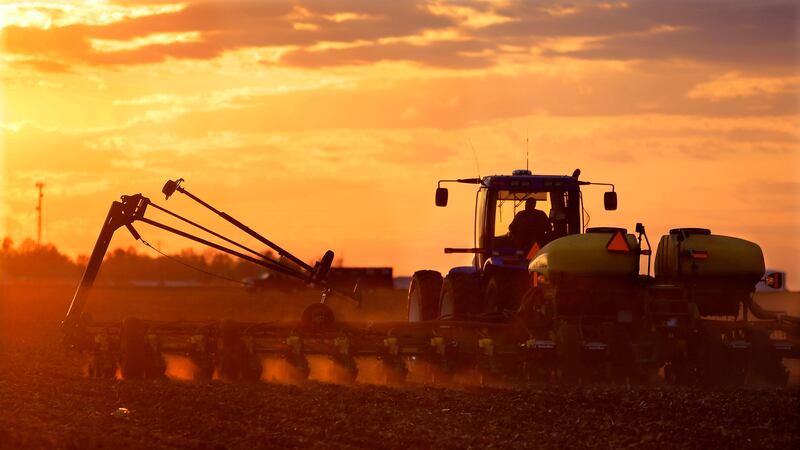 Swing to more soybeans in USDA crop predicted