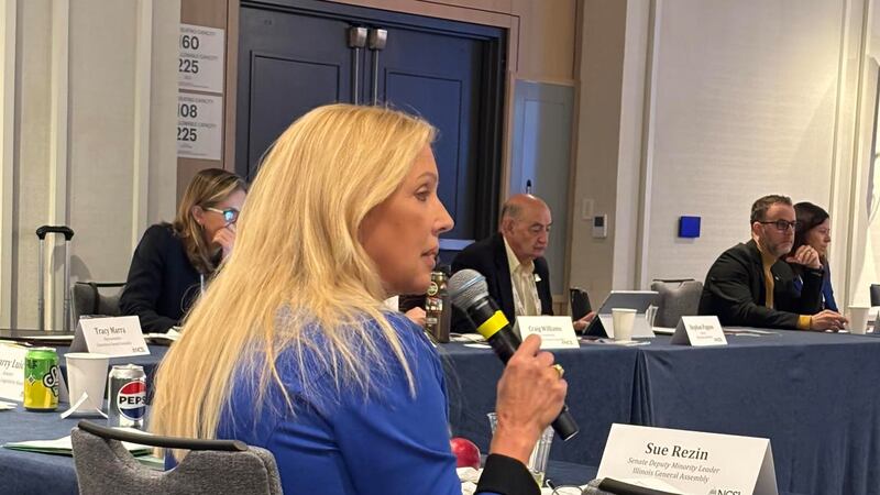 State Sen. Rezin helps lead energy policy discussions at task force meeting in Washington
