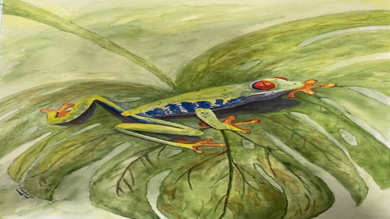 Art of Giving to feature DeKalb, Sycamore High School student art at KVAL