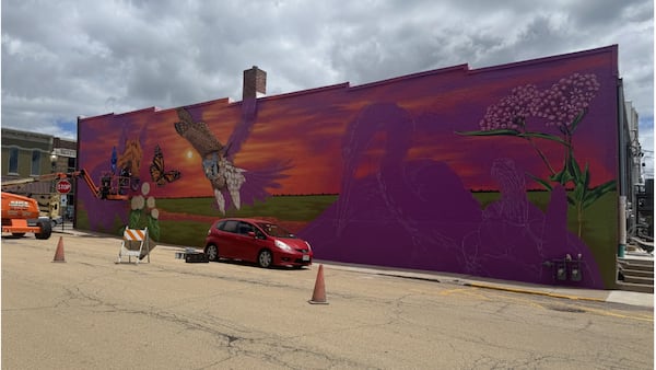Photos: Artist Justin Suarez transforms downtown Mendota wall with wildlife mural