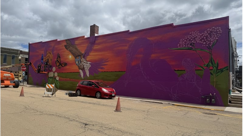 Photos: Artist Justin Suarez transforms downtown Mendota wall with wildlife mural