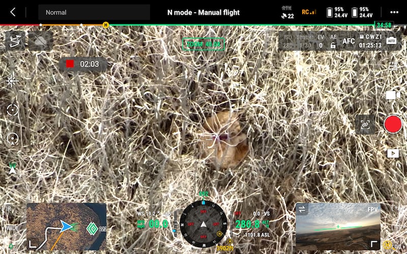 Goldendoodle Mia was missing for a total of 18 days in the Glacial Park Conservation Area in Ringwood.